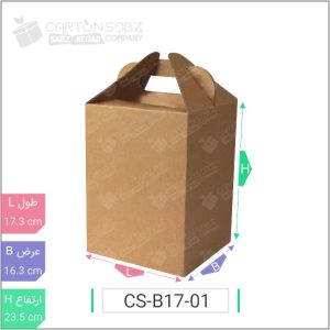 جعبه مدل دار دایکاتی کد ۲ CS-B17-01 خرید کارتن جعبه سینگل فیس کارتن سبز