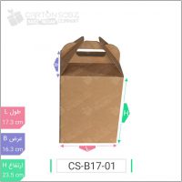 جعبه مدل دار دایکاتی کد ۳ CS-B17-01 خرید کارتن جعبه سینگل فیس کارتن سبز