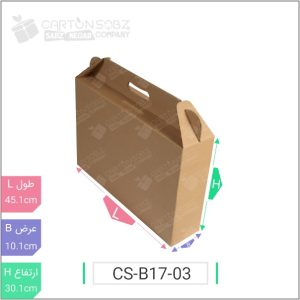 جعبه مدل دار دایکاتی کد - CS-B17-03 خرید اینترنتی کارتن جعبه سینگل فیس کارتن سبز