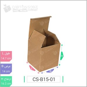 جعبه مدل دار دایکاتی کد ۲ CS-B15-01 خرید کارتن جعبه سینگل فیس کارتن سبز