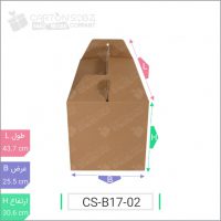 جعبه مدل دار دایکاتی کد - CS-B17-02 خرید کارتن جعبه سینگل فیس کارتن سبز ۱