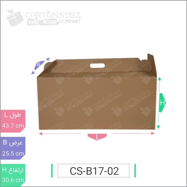 جعبه مدل دار دایکاتی کد - CS-B17-02 خرید کارتن جعبه سینگل فیس کارتن سبز ۲