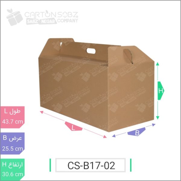 جعبه مدل دار دایکاتی کد - CS-B17-02 خرید کارتن جعبه سینگل فیس کارتن سبز