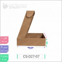 جعبه مدل دار دایکاتی کد - CS-D27-07 کارتن سبز خرید کارتن جعبه سینگل فیس (۳)