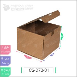 جعبه مدل دار دایکاتی کد - CS-D70-01 خرید کارتن جعبه سینگل فیس کارتن سبز (۲)