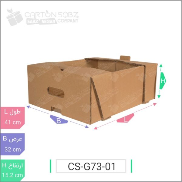 ۱ جعبه مدل دار دایکاتی میوه کد CS-G73-01 خرید کارتن فروشگاه آنلاین