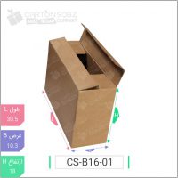 جعبه مدل دار دایکاتی کد - CS-B16-01 خرید اینترنتی کارتن جعبه سینگل فیس کارتن سبز (۱)