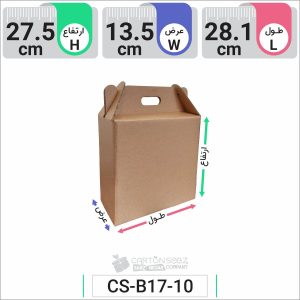 جعبه مدل دار دایکاتی کد CS-B17-10 (1)