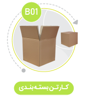 کارتن بسته بندی